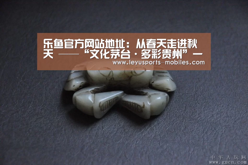 乐鱼平台最新版本