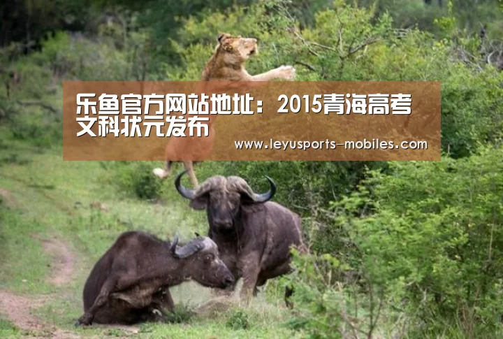 乐鱼体育App下载