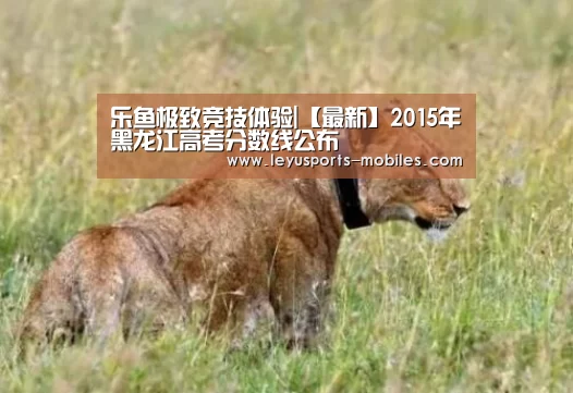 乐鱼极致竞技体验